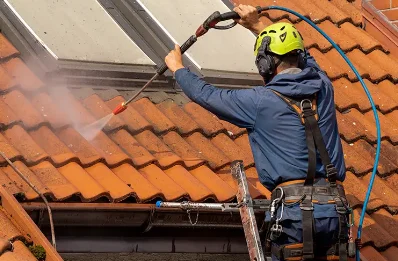 Démoussage et hydrofuge de toiture à Chaussin